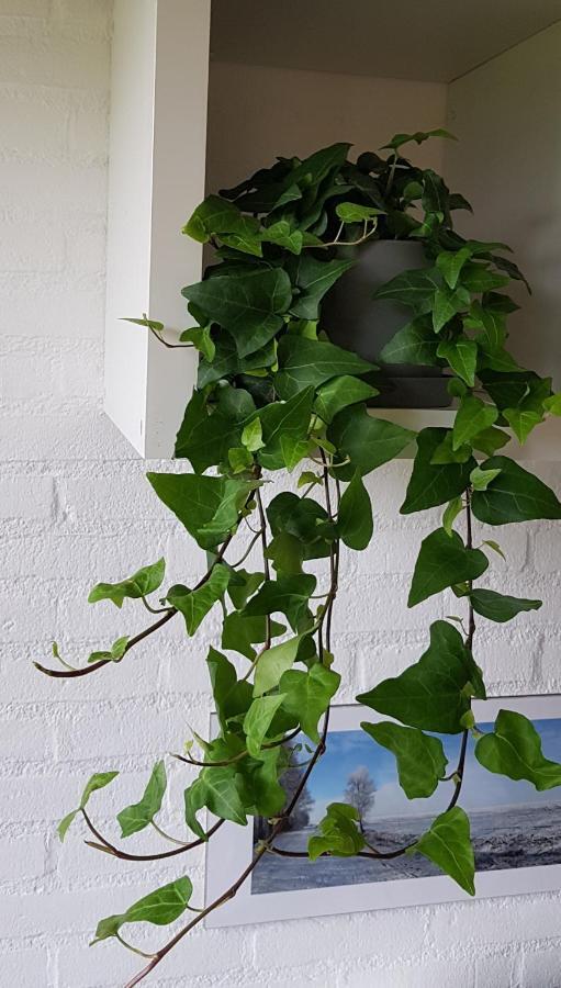 Drenths Landgoed, Lekker Uit Apartment Annerveenschekanaal Ngoại thất bức ảnh